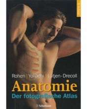 کتاب آلمانی آناتومی Anatomie