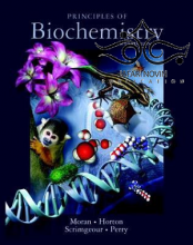 کتاب Principles of Biochemistry, 5th edition2011 اصول بیوشیمی