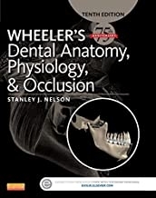 کتاب ویلرز دنتال آناتومی فیزیولوژی Wheeler's Dental Anatomy, Physiology and Occlusion 2015