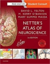 کتاب زبان نترز اطلس اف نوروساینس NETTER'S ATLAS OF NEUROSCIENCE