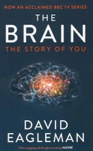 کتاب رمان انگلیسی مغز The Brain
