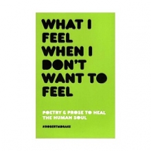 کتاب رمان انگلیسی چه حسی دارم وقتی نمی خواهم حسی داشته باشم What I Feel When I Dont Want To Feel