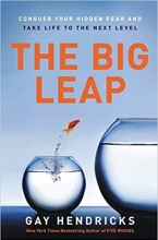 کتاب رمان انگلیسی پرواز تا اوج The Big Leap