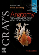 کتاب آناتومی گری Gray's Anatomy: The Anatomical Basis of Clinical Practice 2021