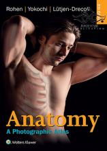 کتاب Anatomy: A Photographic Atlas (اطلس آناتومی روهن)